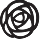 The Rose