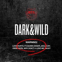 BTS - DARK &amp; WILD 1729