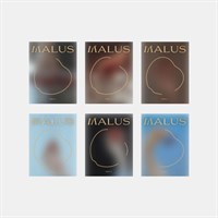 [Под заказ] ONEUS - MALUS (EDEN ver.) 2490