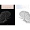 [Sold Out] (G)I-DLE - I trust 2031