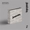 Seventeen - Semicolon 2114