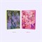 PURPLE KISS - HIDE & SEEK 2453