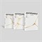 LE SSERAFIM - ANTIFRAGILE 2506