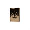 V - Layover (Weverse Albums ver.) 2703