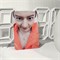 Официальные фотокарты EXO - EXIST (AppleMusic) 2954