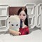 Официальные фотокарты (G)I-DLE - I SWAY (AppleMusic) 2956